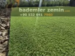 20mm Sarartılmış Yeşil Çim Halı - Havuz Kenarı Çim Halı - Görsel 5