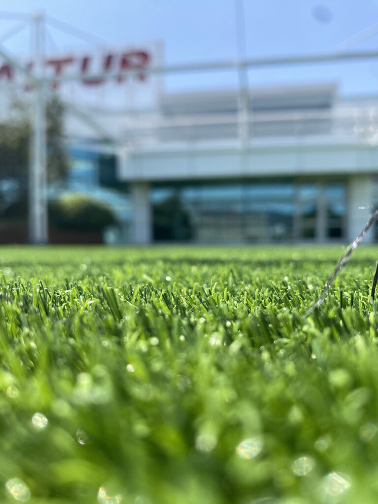 Çim Halı Kategori Fotoğrafı