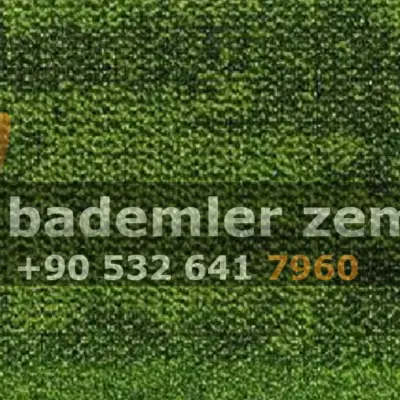 Saxony 7 Karo Halı