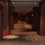 Yün N904 Otel Halısı