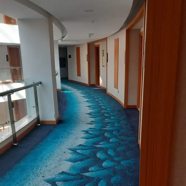 Yün Otel Halısı Kategori Fotoğrafı