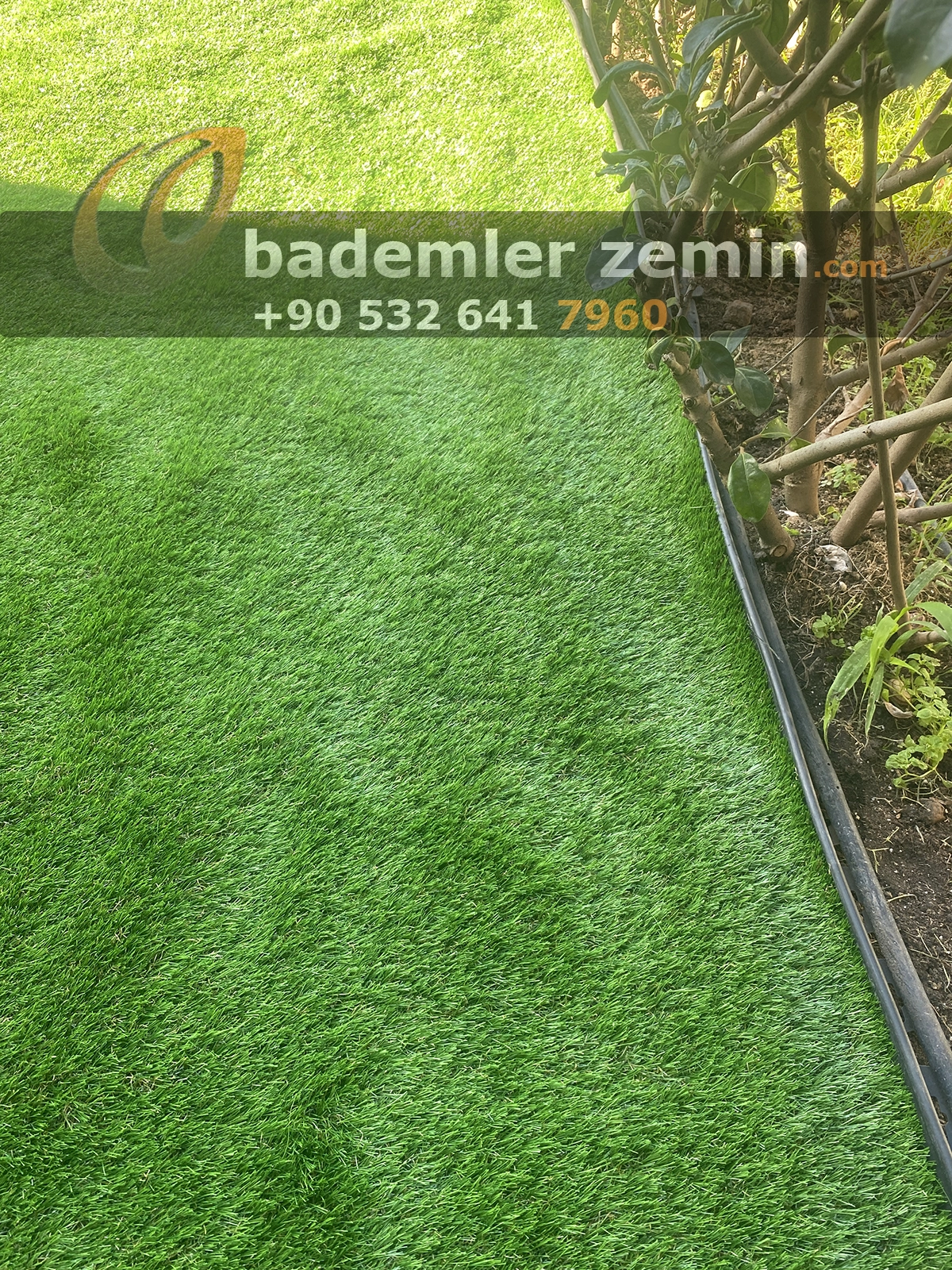 Sakarya Çim Halı