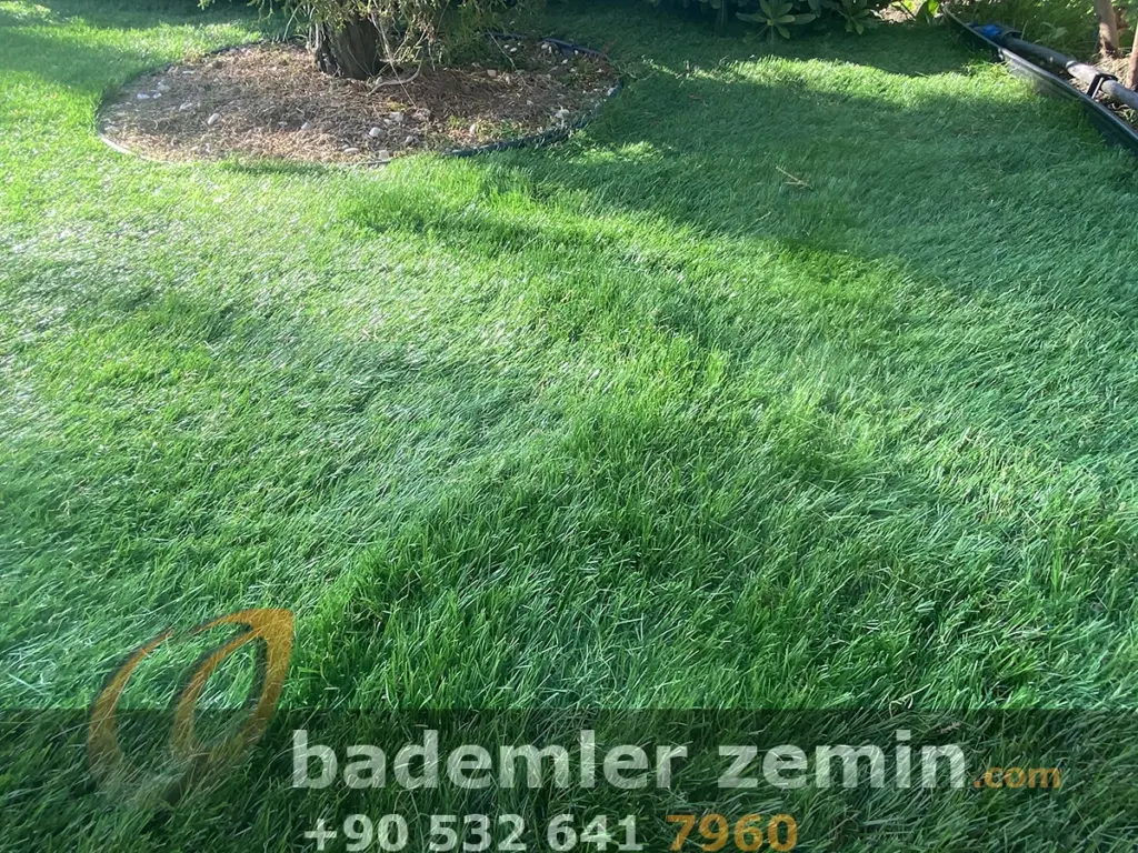 Manavgat Çim Halı