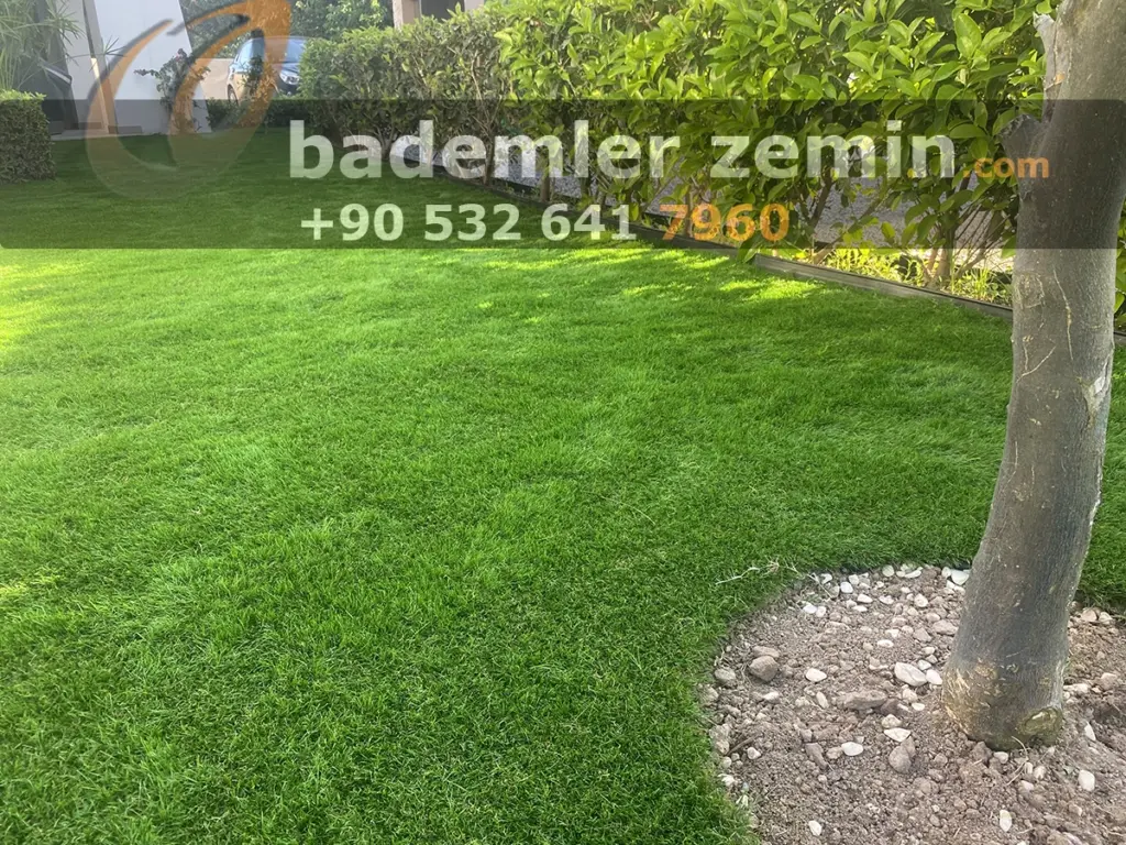 Denizli Çim Halı